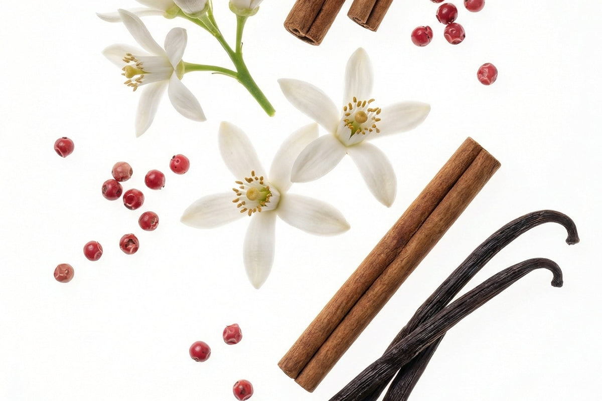 SCENT NOTES